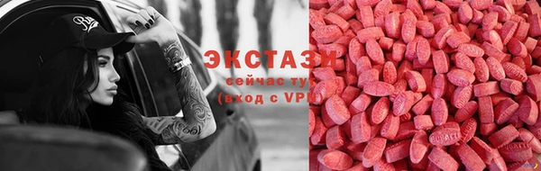 гашик Вяземский