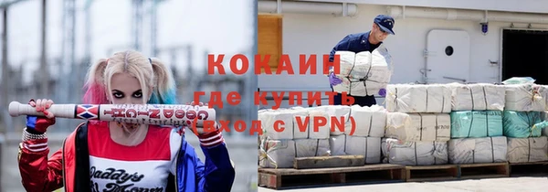 гашик Вяземский