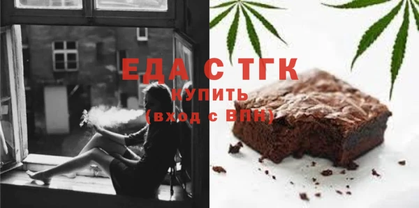 гашик Вяземский