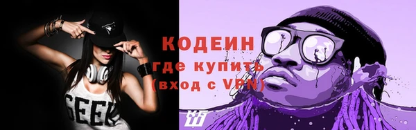 гашик Вяземский