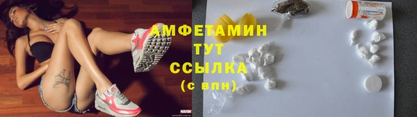 гашик Вяземский