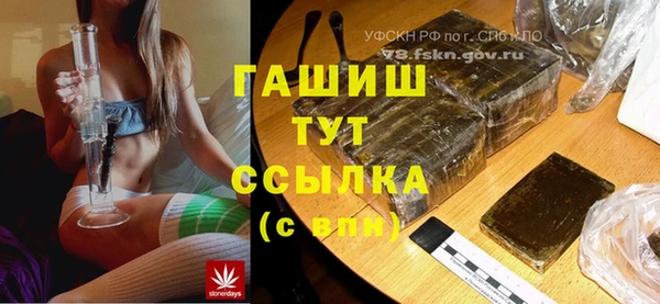 гашик Вяземский