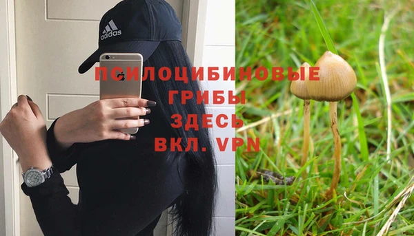 таблы Вязьма