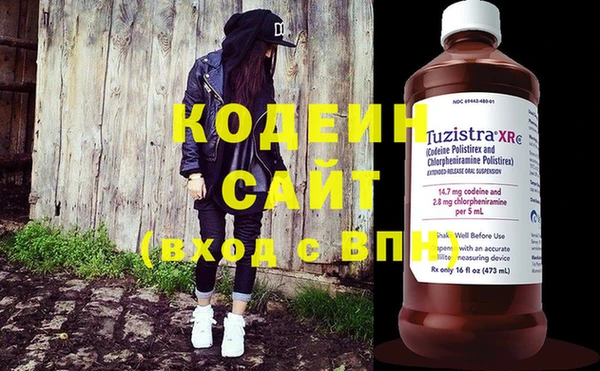 гашик Вяземский
