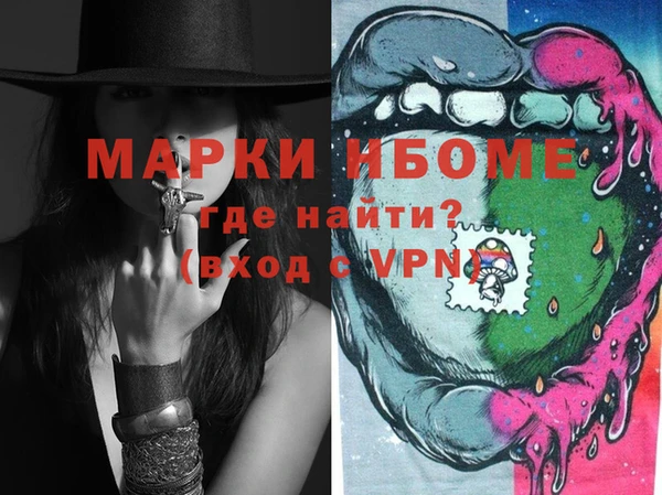 гашик Вяземский