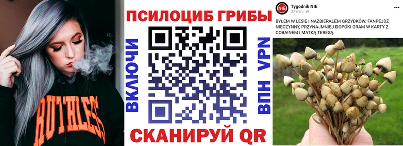 Галлюциногенные грибы Psilocybe  купить   даркнет официальный сайт  Луза 
